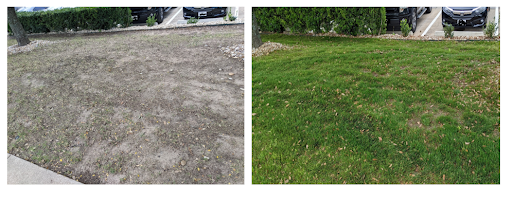 Photo from customer review
